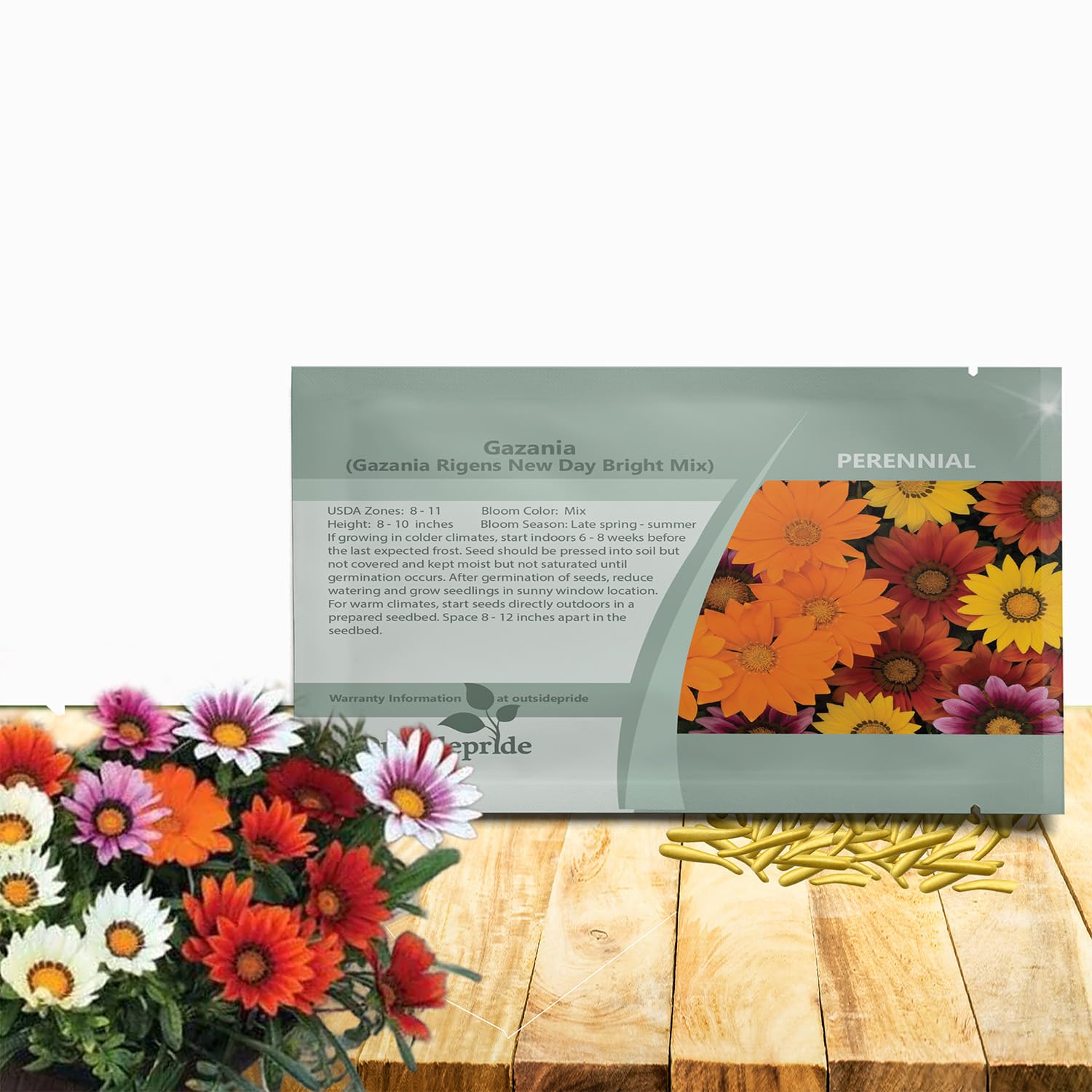 Amazon.com : Outsidepride New Day Bright Mixed Gazania Seeds for